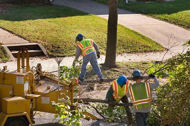 Lawn Pest Prevention in Amherst, WI